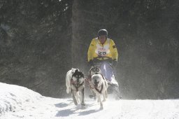 San Bernardino 2008